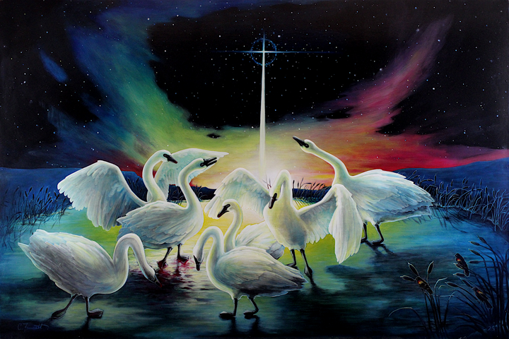 A group of trumpeter swans wade through dark water with wings raised, beneath a glowing cross of light in a starlit, aurora-lit sky.